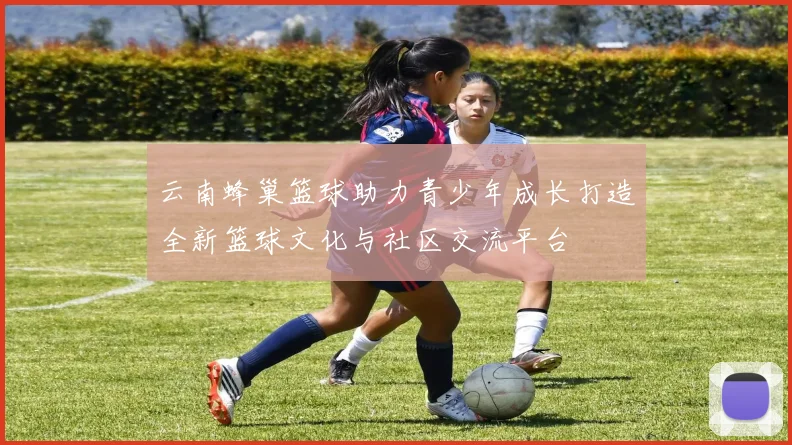 云南蜂巢篮球助力青少年成长打造全新篮球文化与社区交流平台