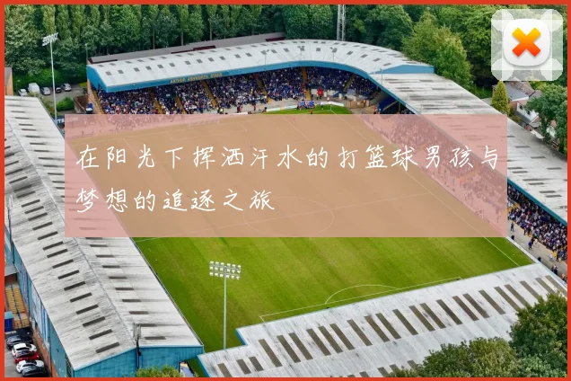 在阳光下挥洒汗水的打篮球男孩与梦想的追逐之旅