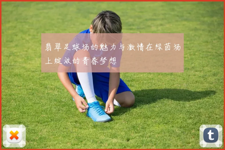 翡翠足球场的魅力与激情在绿茵场上绽放的青春梦想