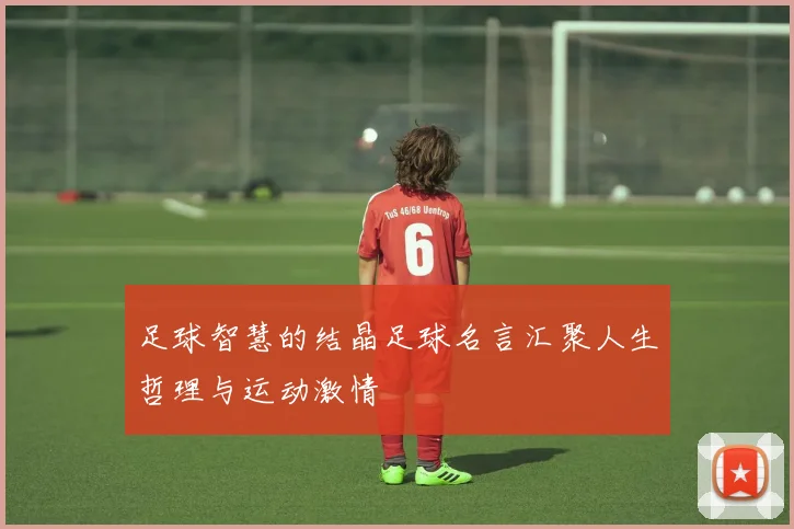 足球智慧的结晶足球名言汇聚人生哲理与运动激情